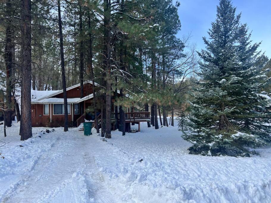 The Bluejay Cabin At Munds Park, Az! Sedona Exterior photo